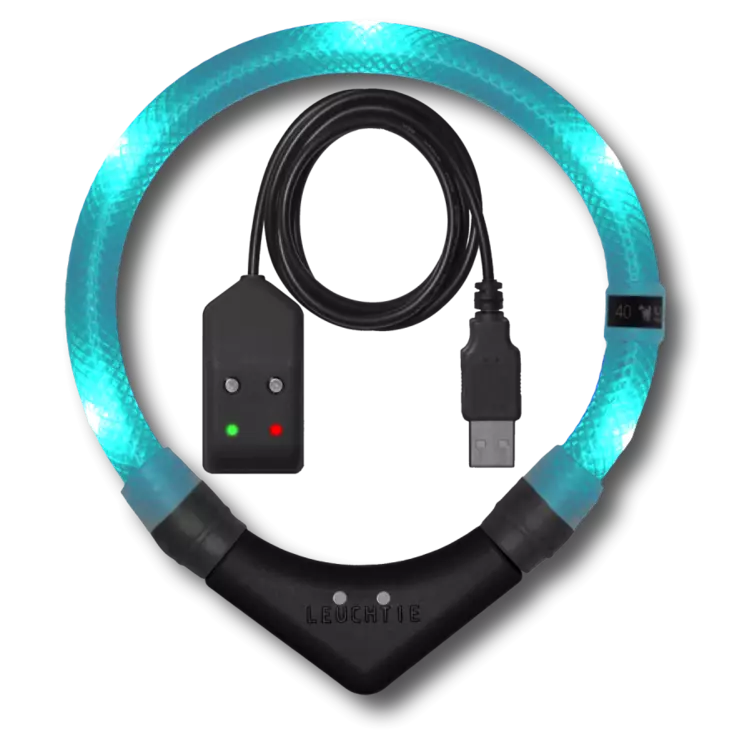 Leuchtie Easy Charge ladattava valopanta turkoosi 35 cm - Koiran valopannat - 6093 - 1