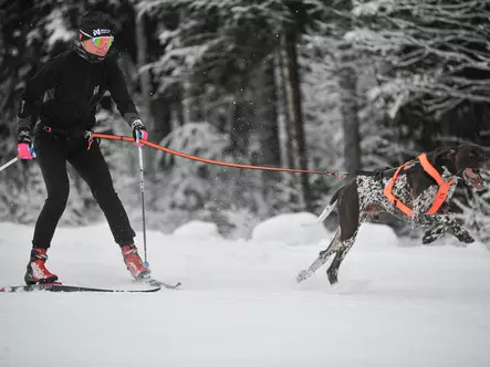 Non Stop Løype Belt PRO vetovyö S - Vetovyöt - 5594 - 2