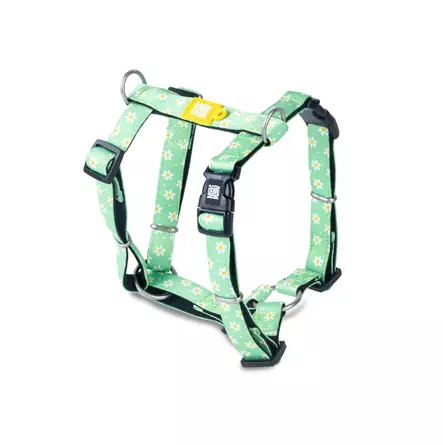 Max & Molly H-Harness margarite XS - Koiran valjaat - 5914 - 1