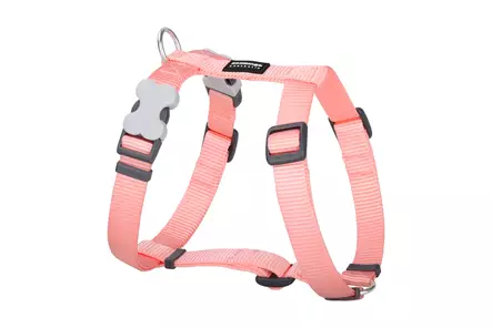 RedDingo Classics valjas pastelli oranssi 12 mm 30-44 cm - Koiran valjaat - 5974 - 1