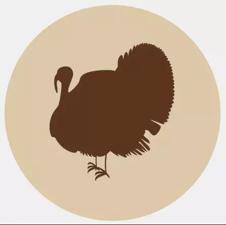Fanimal jauhettu kalkkuna, luuton 500 g - Fanimal - 6274 - 1