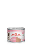 Royal Canin Mother & Babycat Mousse 195 g - Royal Canin märkäruoat kissalle - 3314 - 1