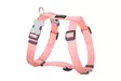 RedDingo Classics valjas pastelli oranssi 12 mm 30-44 cm - Koiran valjaat - 5974 - 1
