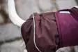 Pomppa ArcticPomppa maroon 31 cm - Koiran takit - 6524 - 4