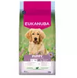 Eukanuba Puppy Large Breed Lamb & Rice koiranpennun kuivaruoka 12 kg - Eukanuba kuivaruoat koiralle - 6204 - 1