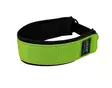 Jalen PK panta 50 mm lime 35-45 cm - Koiran tekstiilipannat - 2314 - 1