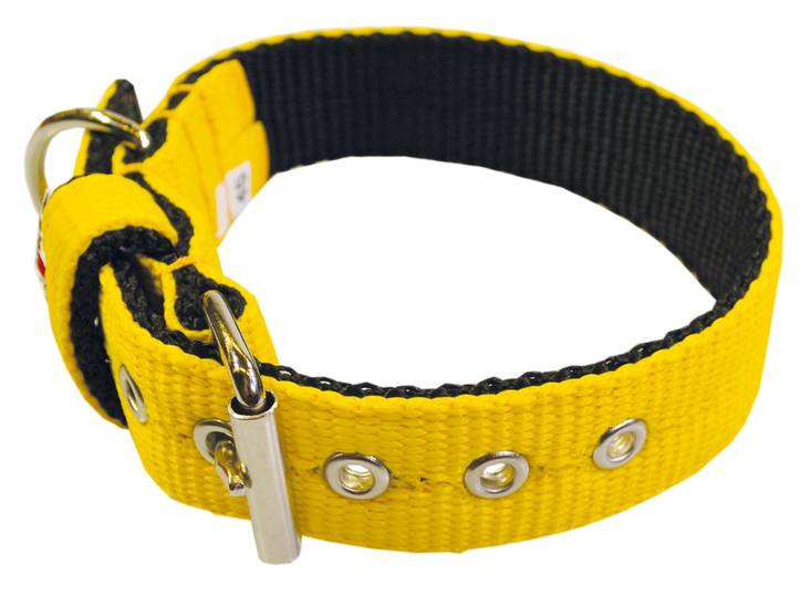 EL PERRO Solkipanta kapea keltainen 45 cm - Koiran tekstiilipannat - 584 - 1