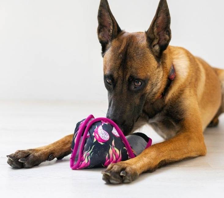 Hapsu Namipallo tarralla pinkki - Narupallot ja pallot - 1714 - 1