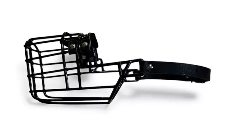 Gappay metallinen kuonokoppa kumipinnoitteella malinois narttu - Metalliset kuonokopat koiralle - 5434 - 1