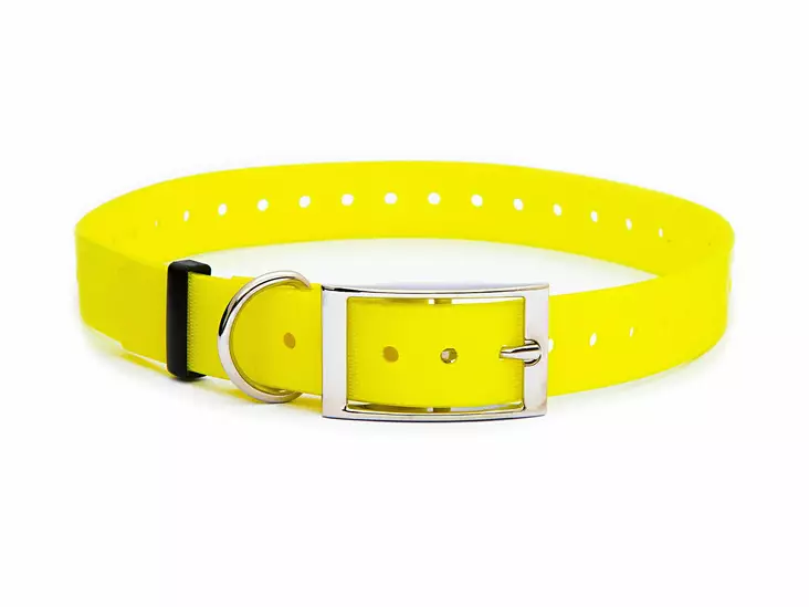 Muovitettu kaulapanta 25 mm keltainen - Koiran tekstiilipannat - 5474 - 1