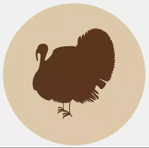 Fanimal jauhettu kalkkuna, luuton 500 g - Fanimal - 6274 - 1