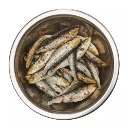 Best Barf Pakastekuivattu kilohaili 100 g PÄIVÄYS LÄHESTYY - Best Barf - 5645 - 2