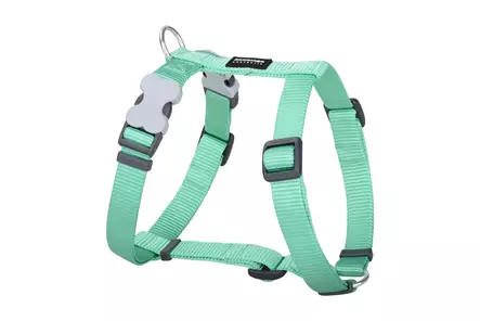 RedDingo Classics valjas pastelli vihreä 12 mm 30-44 cm - Koiran valjaat - 5975 - 1