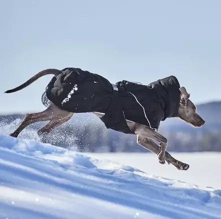 Hurtta Extreme Warmer III ECO korppi 25 cm - Koiran takit - 2705 - 2