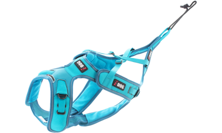 I-DOG Phoenix ALM säädettävä koiran vetovaljas XXS - Vetovaljaat - 1625 - 1