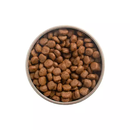 Meatballs Basic 500 g - Koulutusherkut - 185 - 2