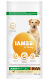 Iams For Vitality koiranruoka isoille koirille kana 12 kg - Iams kuivaruoat koiralle - 3185 - 1