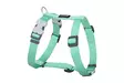 RedDingo Classics valjas pastelli vihreä 12 mm 30-44 cm - Koiran valjaat - 5975 - 1