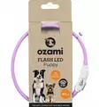 Ozami Flash LED Puppy valopanta koiranpennuille liila - Koiran valopannat - 6515 - 1