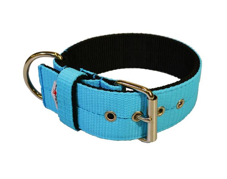 EL PERRO Solkipanta leveä turkoosi 55 cm - Koiran tekstiilipannat - 1335 - 1