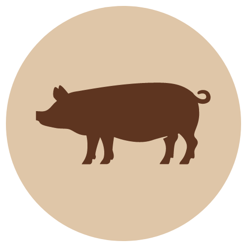 Fanimal Jauhettu possu, luuton 500 g - Fanimal - 3925 - 1