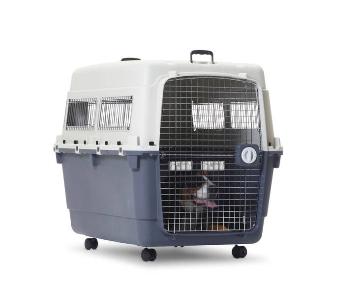 IATA Andes kuljetusboksi, koko 8 - Koiran kuljetushäkit ja lentoboksit - 3975 - 1