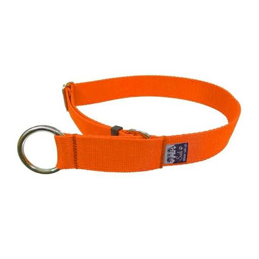 Sali Obro puolikiristävä panta 25 mm oranssi koko M - Koiran tekstiilipannat - 4865 - 1