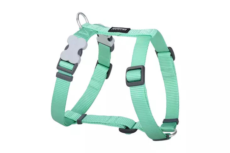 RedDingo Classics valjas pastelli vihreä 12 mm 30-44 cm - Koiran valjaat - 5975 - 1