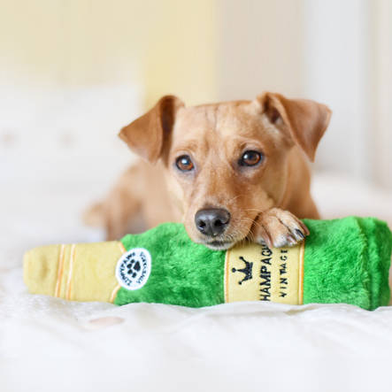 Zippy Paws Happy Hour Crusherz Champagne pehmolelu - Koiran pehmolelut - 4236 - 2