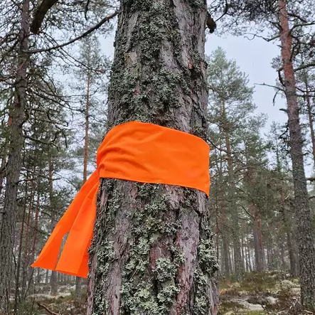 Leveät merkkausnauhat 4 kpl - Jäljenmerkkaus - 5646 - 1