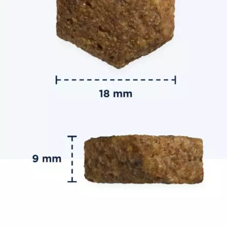 Eukanuba Adult Large Lamb & Rice 12 kg - Eukanuba kuivaruoat koiralle - 6206 - 2