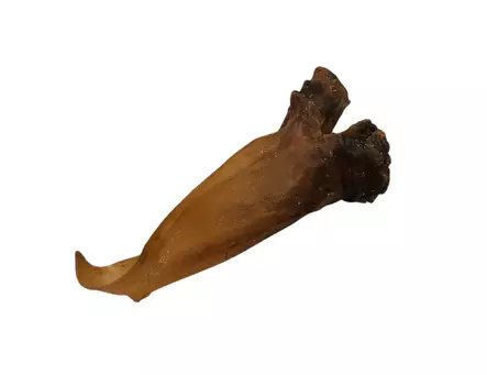 Kuivattu hevosenkorva - Kuivatut herkut - 2656 - 2