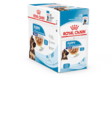 Royal Canin Maxi Puppy Wet 10 x 140 g - Royal Canin märkäruoat - 4456 - 1