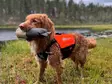 Non Stop Protector Neoprene Vest XS - Pelastusliivit - 6546 - 2