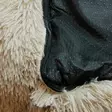 Brava Fluffy rauhoittava peti suorakulmio L beige - Koiran pedit ja alustat - 5496 - 2