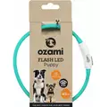 Ozami Flash LED Puppy valopanta koiranpennuille turkoosi - Koiran valopannat - 6516 - 1