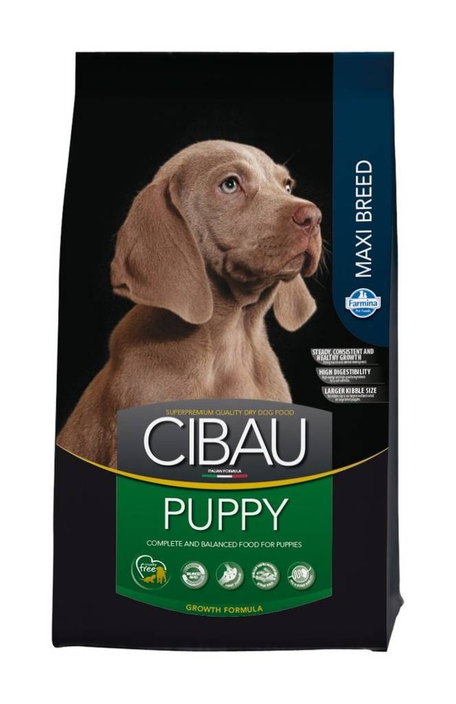Cibau Puppy Maxi Breed 12 kg - Cibau kuivaruoat koiralle - 3086 - 1