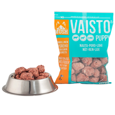 Mush Vaisto Puppy Jäänsininen nauta-poro-lohi 800g - Mush - 3106 - 1