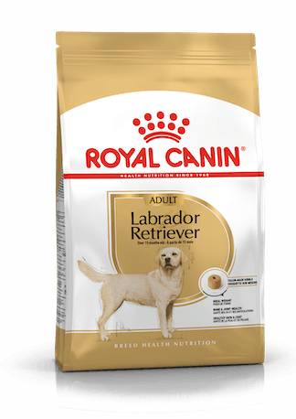Royal Canin Labrador Retriever Adult koiran kuivaruoka 12 kg - Royal Canin kuivaruoat koiralle - 3396 - 1