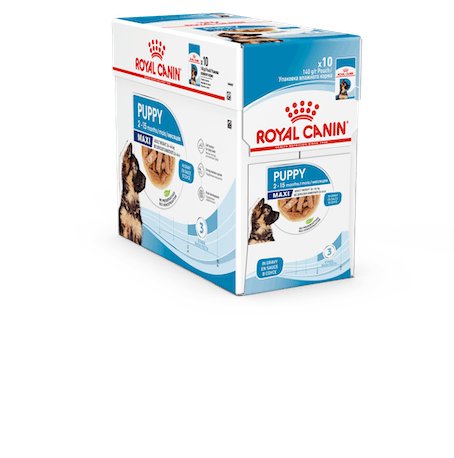 Royal Canin Maxi Puppy Wet 10 x 140 g - Royal Canin märkäruoat - 4456 - 1
