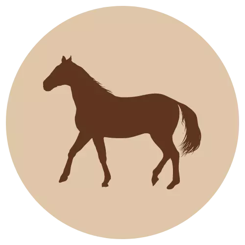 Fanimal Hevosen luuton palaliha 500 g - Fanimal - 2916 - 1