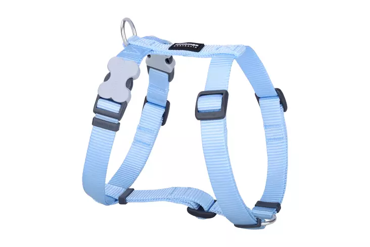 RedDingo Classics valjas pastelli sininen 12 mm 30-44 cm - Koiran valjaat - 5976 - 1