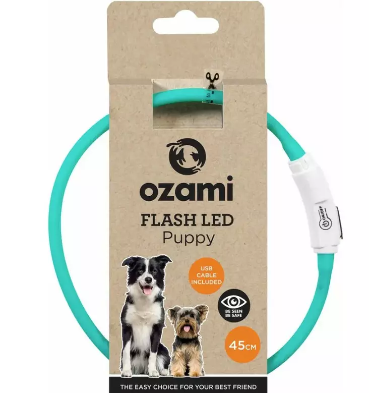 Ozami Flash LED Puppy valopanta koiranpennuille turkoosi - Koiran valopannat - 6516 - 1