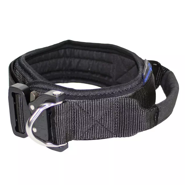 Sporthund kahvapanta 43-50 cm - Koiran kahvapannat - 1566 - 1