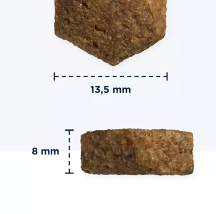 Eukanuba Grain Free Adult Small & Medium Breed Ocean Fish 3 kg viljaton koiran kuivaruoka PÄIVÄYS LÄHESTYY - Eukanuba kuivaruoat koiralle - 5487 - 2