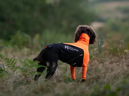 Non Stop Protector Suit female koko 30 - Koiran takit - 5507 - 2