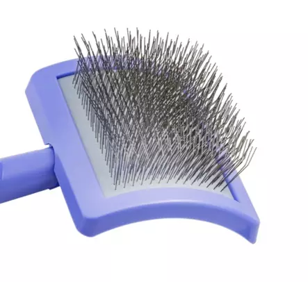 Tauro muovinen karsta 25 mm piikeillä large SOFT violetti - Koiran karstat - 5737 - 2