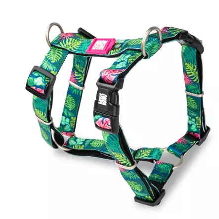 Max & Molly H-Harness tropical XS - Koiran valjaat - 5917 - 1