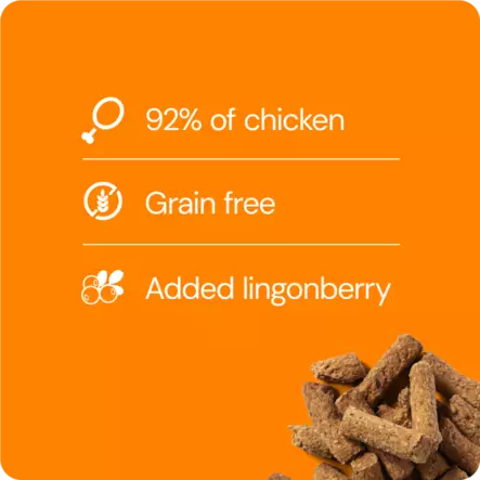 RAUH! Chicken & Lingonberry Treat 100 g - Koulutusherkut - 2707 - 2