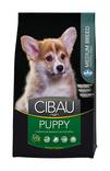 Cibau Puppy Medium Breed 2,5 kg - Cibau kuivaruoat koiralle - 3087 - 1